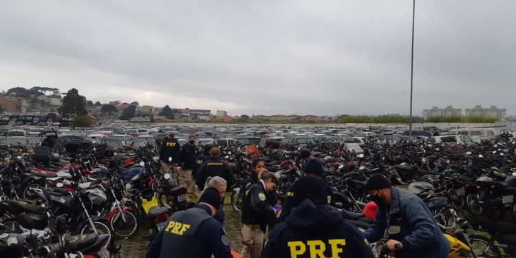 PRF e Detran-PR realizam operação Pátio Limpo