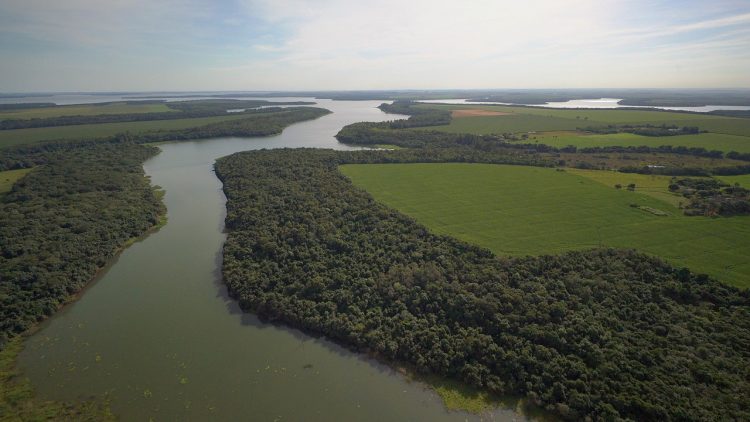 Itaipu e Unesco instalam primeira Unidade de Gestão Descentralizada da Reserva da Biosfera no mundo