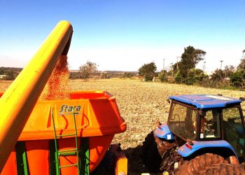 Prefeitura de Foz do Iguaçu amplia investimentos na área rural