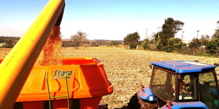 Prefeitura de Foz do Iguaçu amplia investimentos na área rural