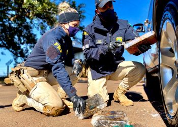 PRF e Polícia Civil apreendem drogas e dão prejuízo de R$ 16 milhões ao crime organizado