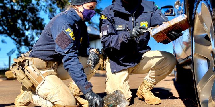 PRF e Polícia Civil apreendem drogas e dão prejuízo de R$ 16 milhões ao crime organizado
