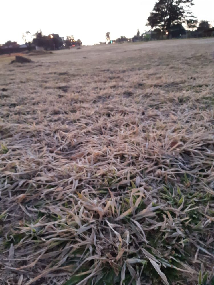 Sexta-feira, 30, registra temperatura de 0° e tem formação de geada
