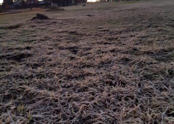 Sexta-feira, 30, registra temperatura de 0° e tem formação de geada