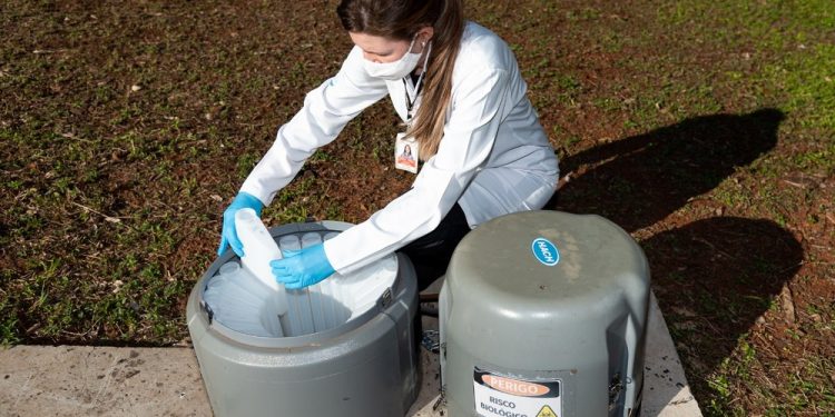 Itaipu monitora a incidência do vírus da Covid-19 no esgoto de Foz do Iguaçu