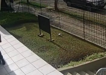 Polícia procura suspeito de estuprar funcionária de loja no Paraná; veja vídeo