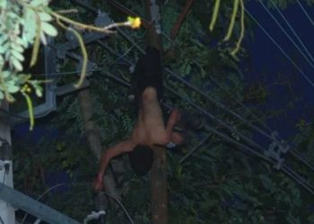 Nacional: Jovem de 18 anos fica preso em rede elétrica ao tentar furtar cabo