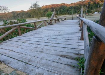 Estado se mobiliza para amenizar efeitos da massa de ar polar prevista para a Região Sul