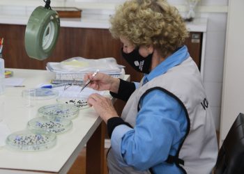 Concurso público do Instituto Água e Terra é retomado e tem nova data de prova definida