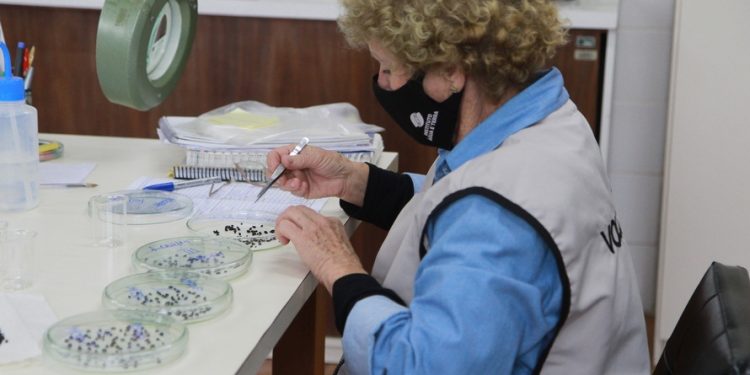 Concurso público do Instituto Água e Terra é retomado e tem nova data de prova definida