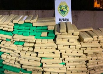 PM apreende 45 toneladas de drogas no primeiro semestre de 2021 no Oeste e Sudoeste