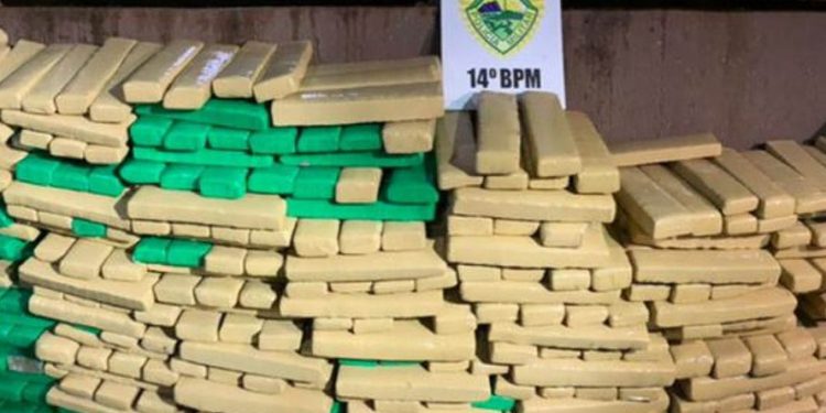 PM apreende 45 toneladas de drogas no primeiro semestre de 2021 no Oeste e Sudoeste