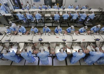 Com saldo de quase 16 mil vagas, Paraná lidera geração de empregos em maio no Sul