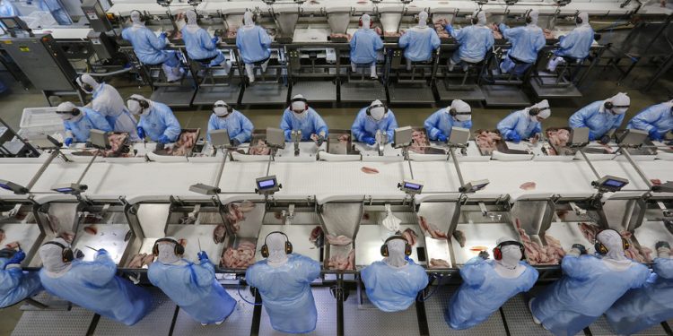 Com saldo de quase 16 mil vagas, Paraná lidera geração de empregos em maio no Sul