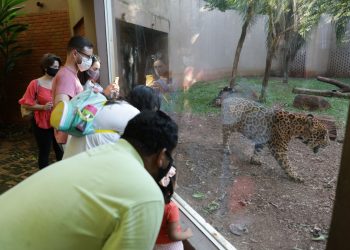 Visitação em Itaipu supera 30 mil pessoas em julho