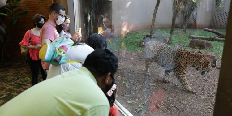 Visitação em Itaipu supera 30 mil pessoas em julho