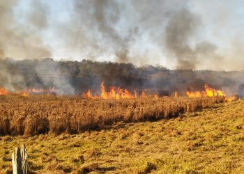 Incêndio atinge vegetação na Avenida das Cataratas próximo a hotel
