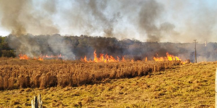 Incêndio atinge vegetação na Avenida das Cataratas próximo a hotel