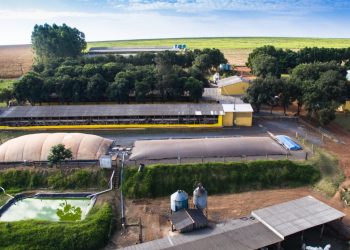 PTI coopera na implementação de microrede que amplia a segurança eletétrica em área rural