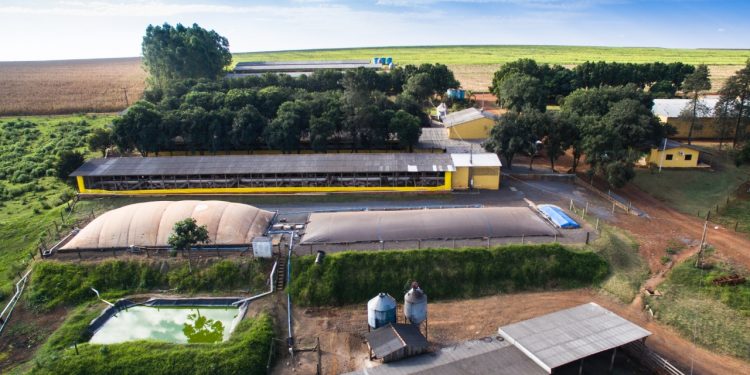 PTI coopera na implementação de microrede que amplia a segurança eletétrica em área rural