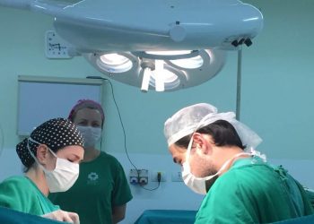 Foz do Iguaçu retoma captação de órgãos humanos