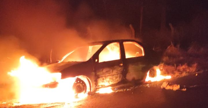 Foto: Guarda Municipal