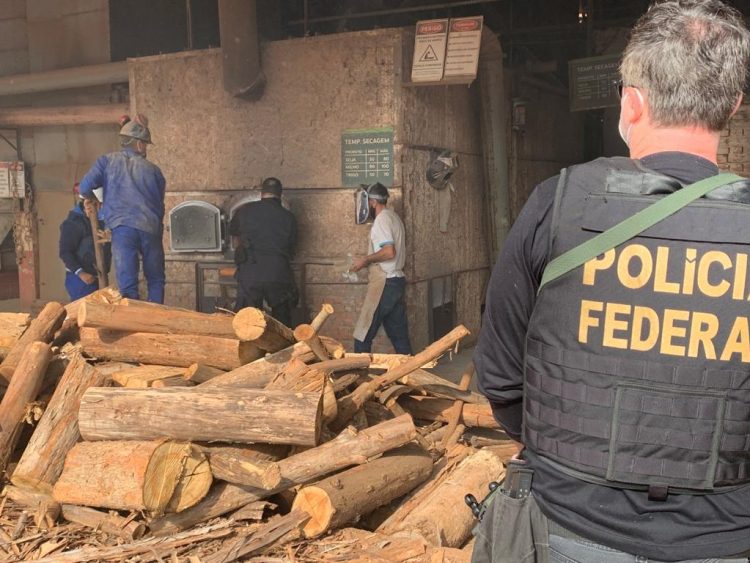 Polícia Federal incinera mais de uma tonelada de drogas