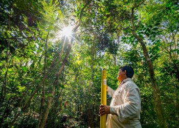 Evento on-line aborda a importância da biodiversidade para o clima, água e energia