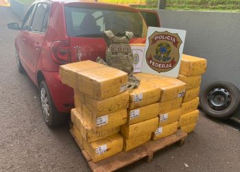 Forças de Segurança apreendem mais de 400kg de maconha em Santa Helena