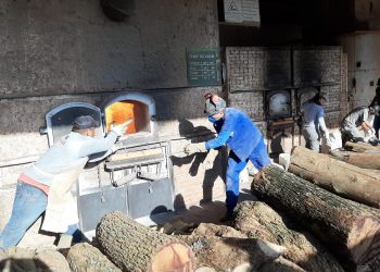 Polícia Civil de Santa Terezinha de Itaipu incinera mais de 2,7 toneladas de drogas