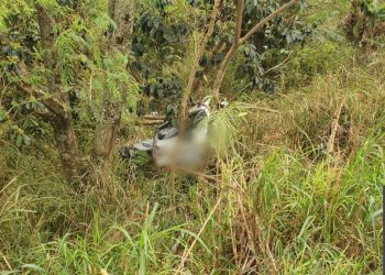 Duas pessoas morrem em acidente na BR-277 em Medianeira