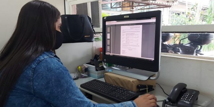 estágio, prefeitura de foz