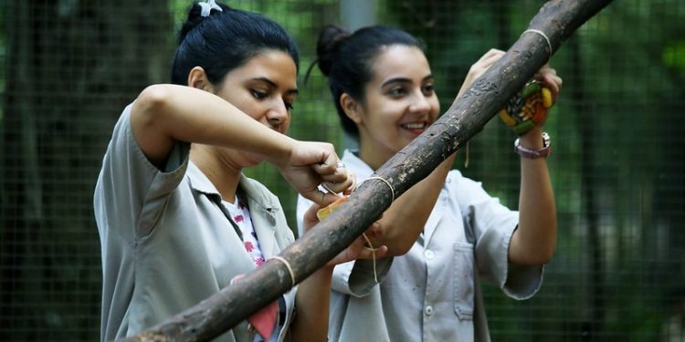 Animais do Zoológico de Foz serão transferidos para outros espaços, buscando o bem-estar animal
