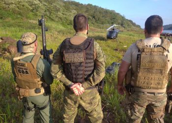 Forças de Segurança apreendem 42 kg de maconha do tipo capulho em Foz do Iguaçu