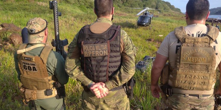 Forças de Segurança apreendem 42 kg de maconha do tipo capulho em Foz do Iguaçu