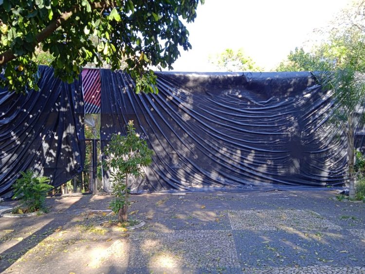 Após retirada de animais, Bosque Guarani será revitalizado e continuará aberto