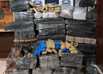 600 kg de maconha é apreendido pela Polícia Civil em Três Lagoas