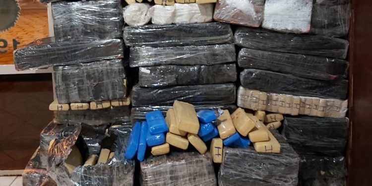 600 kg de maconha é apreendido pela Polícia Civil em Três Lagoas