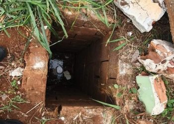 No Paraná, mulher é agredida por engano e jogada em buraco para morrer