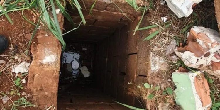 No Paraná, mulher é agredida por engano e jogada em buraco para morrer