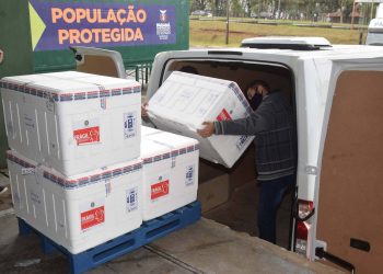 Novo lote com 311.780 imunizantes contra a Covid-19 chega ao Paraná nesta segunda, 16