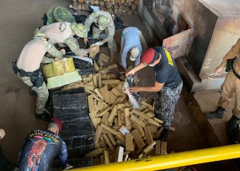 Plano de Política sobre Drogas ficará em consulta pública