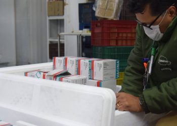 Paraná irá receber mais 311.780 vacinas contra a Covid-19, 84% para 2ª dose