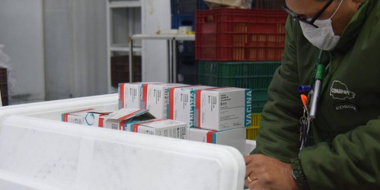 Paraná irá receber mais 311.780 vacinas contra a Covid-19, 84% para 2ª dose