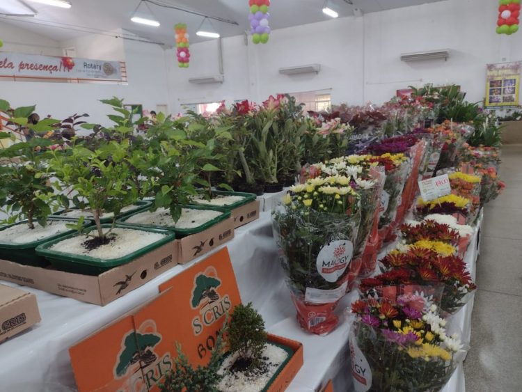 Começa a 21° Ecoflores em Foz do Iguaçu