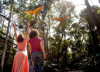 Foz do Iguaçu está entre os destinos de natureza mais procurados por brasileiros