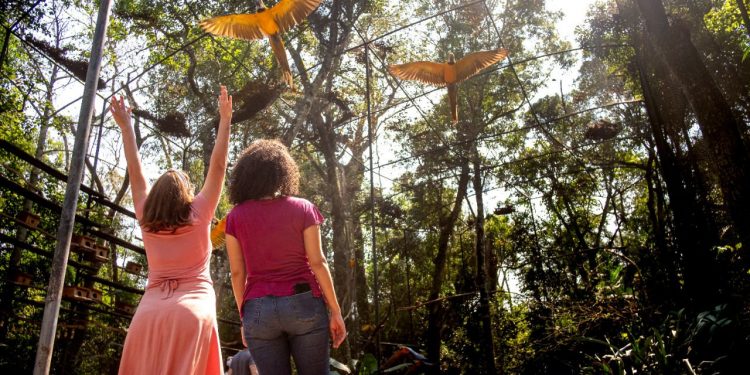 Foz do Iguaçu está entre os destinos de natureza mais procurados por brasileiros