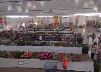 Começa a 21° Ecoflores em Foz do Iguaçu
