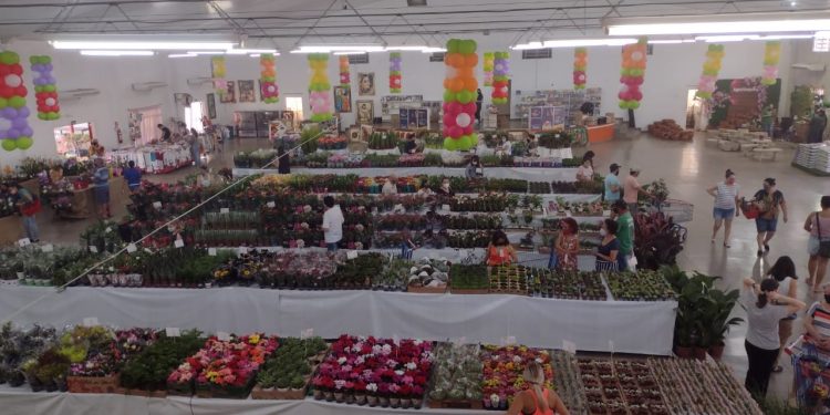 Começa a 21° Ecoflores em Foz do Iguaçu