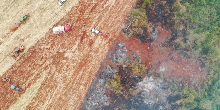 Itaipu atua para conter incêndios florestais nas áreas protegidas